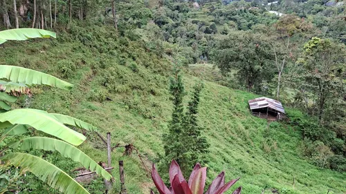 Finca Ganadera Cachipay Cundinamarca