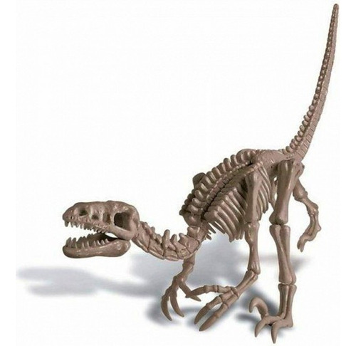 Juego Infantil Excavacion Esqueleto Dinosaurio Velociraptor