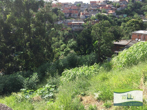 Imagem 4 de 11 de Terreno À Venda, 505 M² Por R$ 55.000,00 - Estância Lago Azul - Franco Da Rocha/sp - Te0110