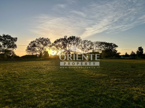 Osorno, Camino Puerto Octay Junto A Carretera