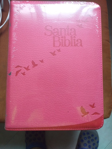 Biblia Rv Letra Gigante 1960 Índice