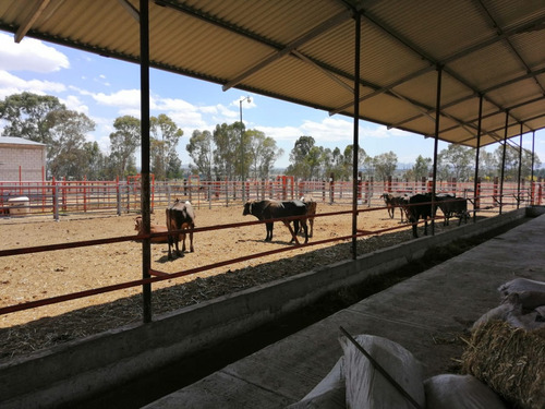 Rancho En Venta Cerca De Polotitlán Querétaro - Precio De Remate