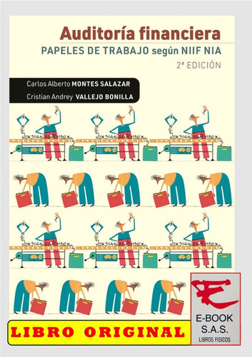 Auditoría Financiera Papeles De Trabajo Según Niif Nia