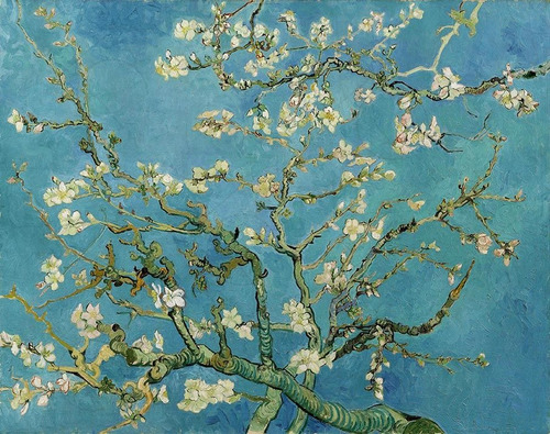 Lienzo Almendro En Flor De Van Gogh 83x106cm Canvas Tela
