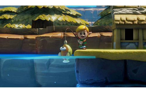 O Despertar De Link