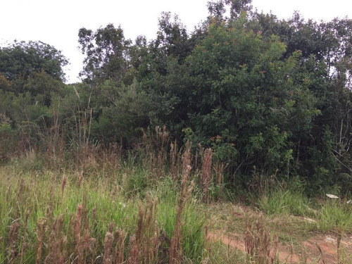 Imagem 1 de 10 de Área Industrial Para Venda Em Fazenda Rio Grande, Estados - 32953_2-1074924