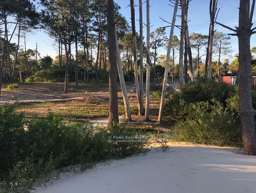 Magnifico Terreno Sobre La Playa De El Pinar