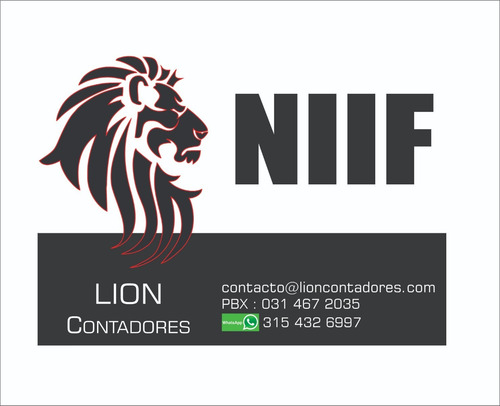 Imagen 4 de 10 de Contador Público En Bogota Para Pymes Lion Contadores S.a