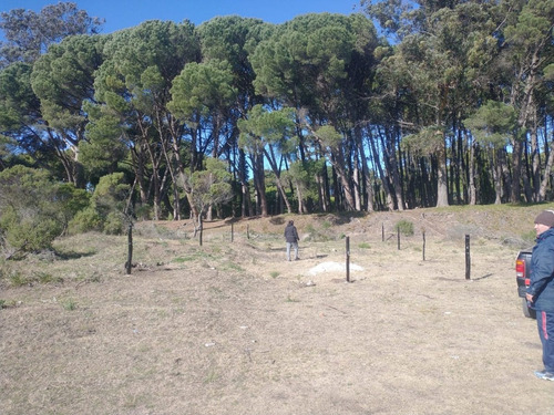 Imagen 3 de 7 de Terreno Lote En Miramar Pegado Al Bosque Vivero Dunícola