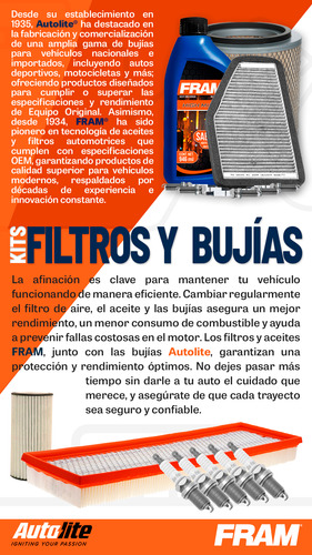 Kit Afinación Iridio S Aceite 2 Filtros F & A Trax 1.8 13-18