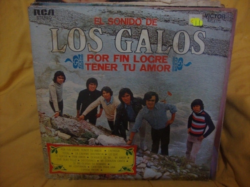 Vinilo Los Galos Por Fin Logre Tener Tu Amor M1