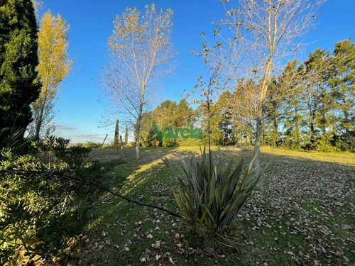 Imagen 4 de 23 de Chacra De 5,6 Has Por Ruta 11 - Atlantida Estación Atlántida