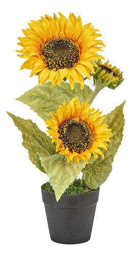 Vale Pena Importacion 14  Potted Plant W 3 Jefe Girasol