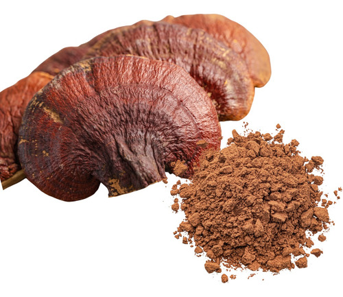 Hongo Medicinal Reishi En Polvo X 30g Adaptogeno Ganoderma