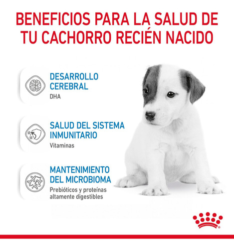 Leche Royal Canin Babydog Para Cachorro 0-2 Meses 400g