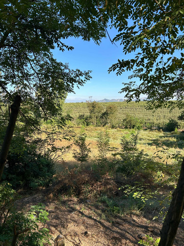 Propiedad Con Terreno De 6000 M2 Sector San Gerardo