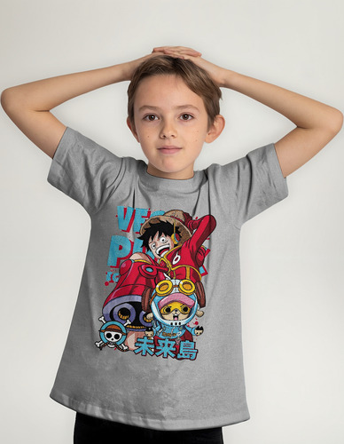 Polera Niño Estampada Dtf One Piece 1048 Luffy & Chopper