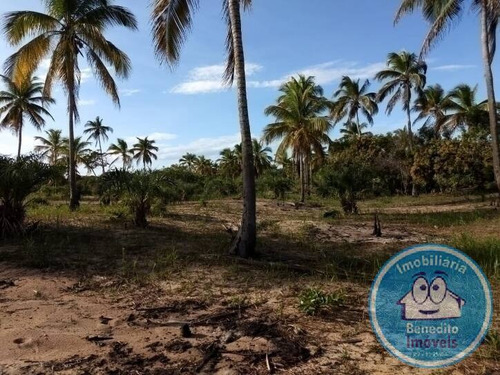Imagem 5 de 15 de Lotes Na Praia A Partir De R$160.000,00 - 1887
