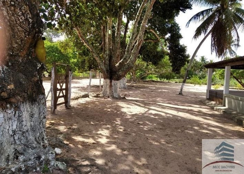 Imagem 13 de 20 de Granja Mobiliada A Venda Lagoa Do Bonfim