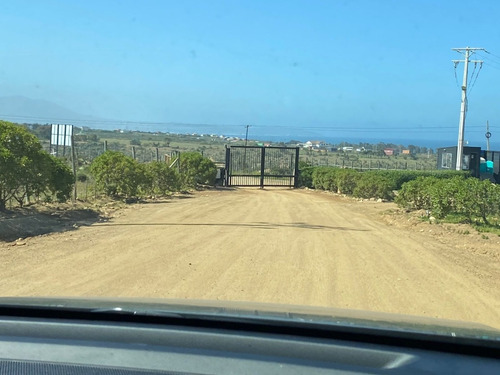 Los Molles / Los Pinos / Los Vilos