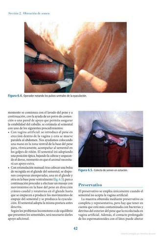 Pérez: Técnicas Reproductivas En Las Especies Animales