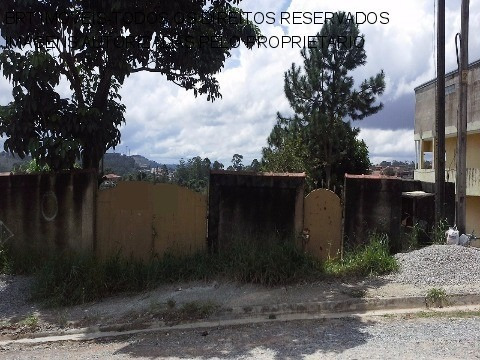 Imagem 14 de 17 de Terreno - Te00049 - 3058071