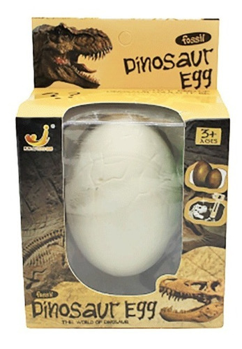 Huevo De Dinosaurio Fosil Excavación