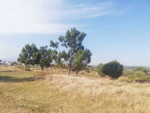 Imagen 6 de 9 de Terrenos Habitacionales En Venta En Fraccionamiento San Rafael Cuauhtémoc Colima