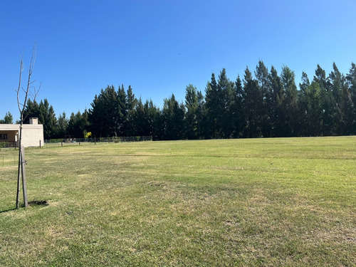 Lagos De San Eliseo Lote De 1200 En Cul De Sac