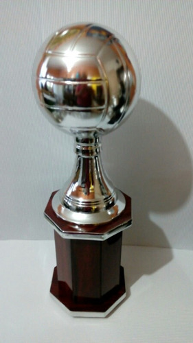 Trofeo De Voleibol