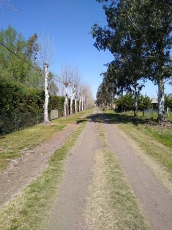 Imagen 9 de 10 de Terrenos Barrio El Amanecer Piñero
