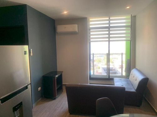 Departamento En Renta En Semillero Matamoros En Monterrey