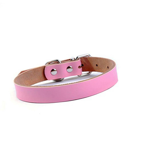 Collar De Colores Talla Xl Para Perros Y Gatos Pethome Chile