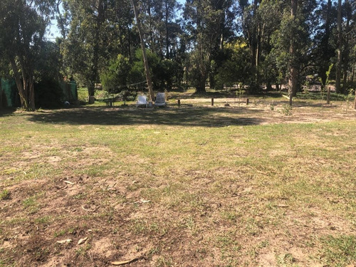 Imagen 19 de 26 de Alquilo Fin De Semanas, Y Quincenas . 4 Dormitorios, 2 Baños, Hasta 10 Personas. A 12 Cuadras De La Playa Parada 10 Brava Y Mansa. Punta Del Este