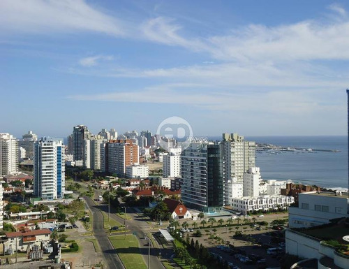Appartment - Playa Mansa