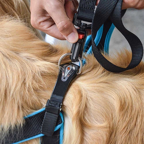 Guia Ergofluo Matic Almofadada P/ Cães - G25/120 - Ferplast Cor Azul
