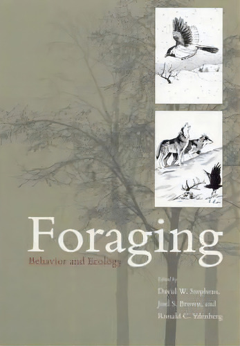 Foraging, De David W. Stephens. Editorial University Chicago Press, Tapa Blanda En Inglés