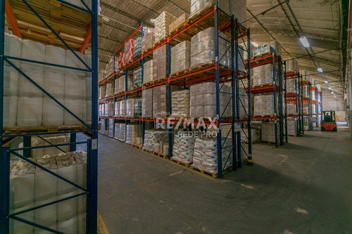 Galpão Para Alugar, 5000 M² Por R$ 75.000,00/mês - Jardim Eulina - Campinas/sp - Ga0568