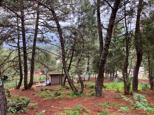 Tv Terreno En Venta, La Pedrera, Agua Fria. Valle De Bravo. (er)