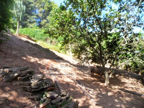 Imagem 3 de 14 de Casa Com Projeto Para Construir Em Cima.