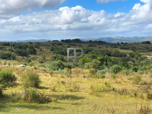 Imagen 12 de 12 de Campo En Venta Las Cañas 77 Hectáreas