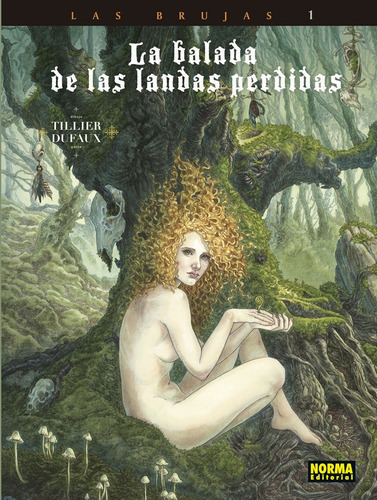 La Balada De Las Landas Perdidas. Nuevo Ciclo 1. Cabeza Negra, De Dufaux, Tillier. Editorial Norma Editorial, S.a., Tapa Dura En Español