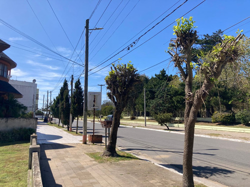 Departamento De 2 Ambientes