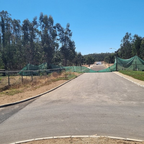 Bosques De Quilen, Costa Quilen, Puchuncaví