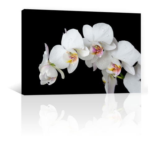 Cuadro Decorativo Canvas Naturaleza Flores Orquideas Blancas