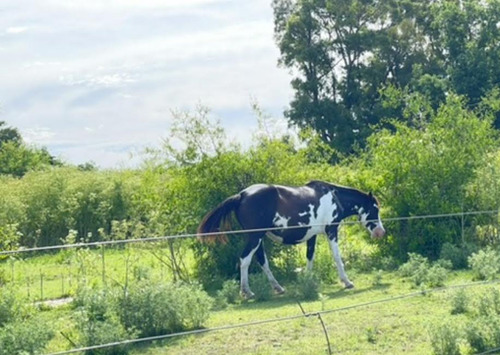 Venta Campo En Villa Ruiz, San Andres De Giles.
