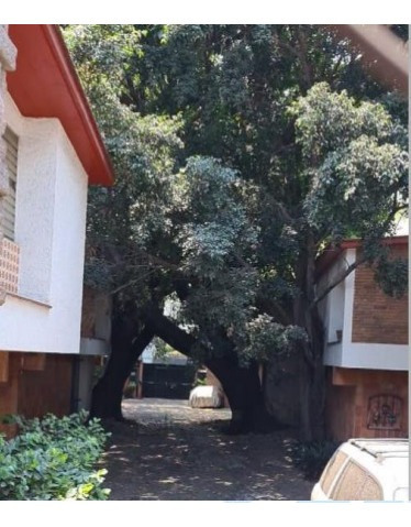 Imagen 7 de 8 de Oportunidad Casa En Condominio En Mixcoac De 2 Niveles¡¡dip