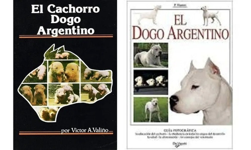 Valiño: Cachorro Dogo Argentino + Vianini: El Dogo Argentino