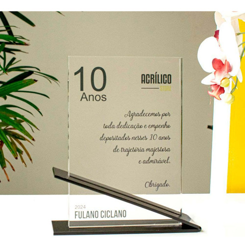 Placa De Homenagem Empresa Evento - Kit 13 Peças
