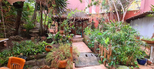 Imagen 11 de 30 de Vendo Pb 235m2 3h/3b/2p La Alameda 7555
